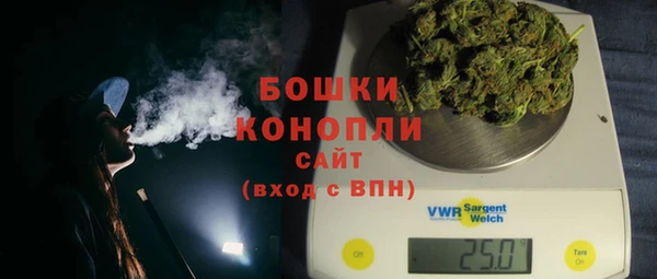 гашик Касимов