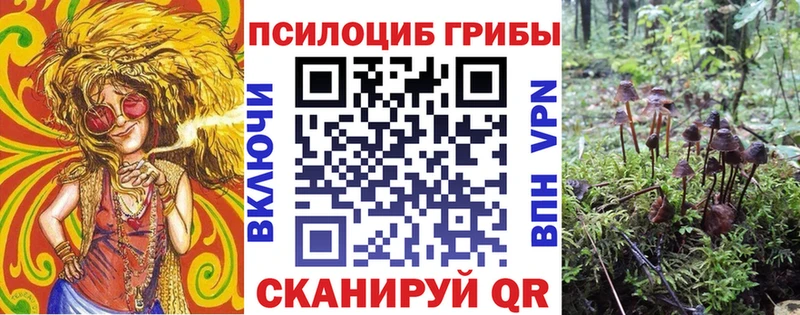 Галлюциногенные грибы прущие грибы  дарнет шоп  Сусуман 